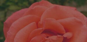 Vlastnosti dobrého loga