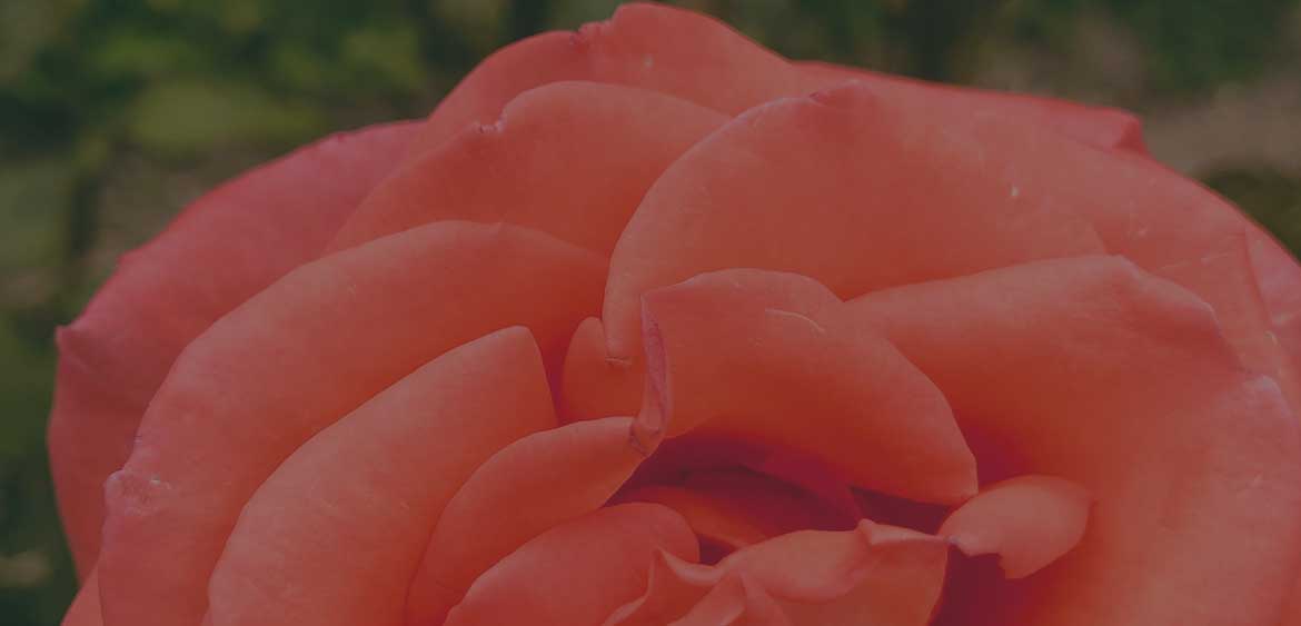 Vlastnosti dobrého loga