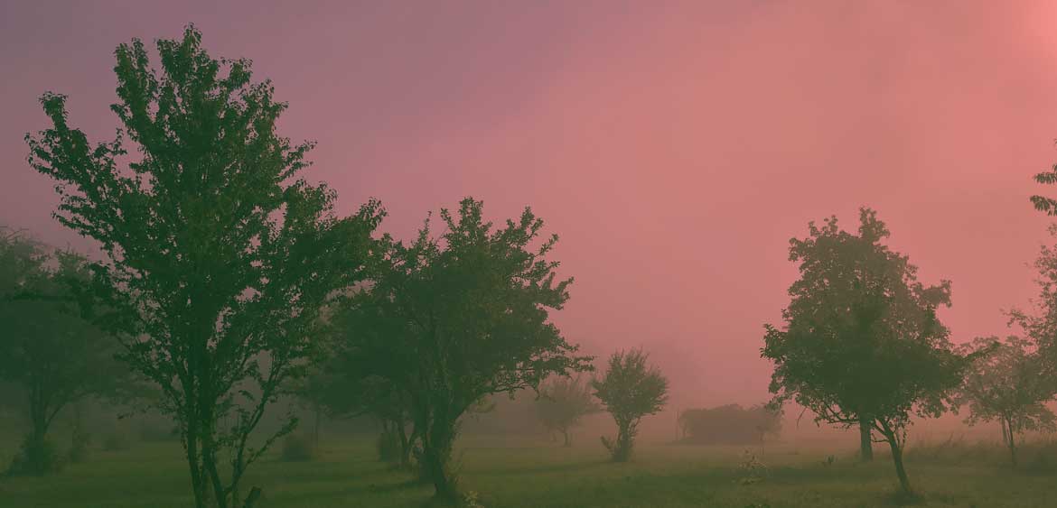 Obsahový marketing a prečo ho potrebujete